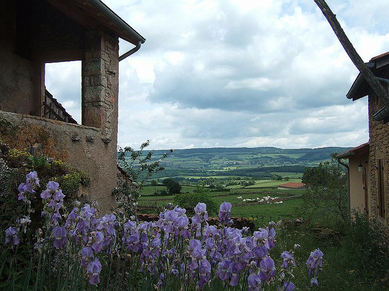 2010-05- (109).JPG